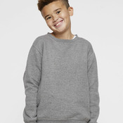Youth Crewneck Sweatshirt